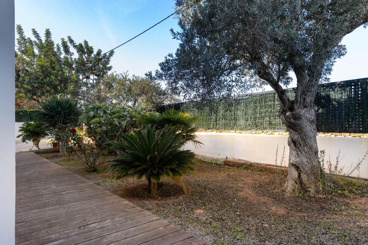 Villa Anur San José المظهر الخارجي الصورة